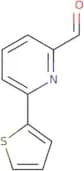 6-(2-Thienyl)-2-pyridinecarboxaldehyde