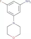 3-Fluoro-5-(morpholin-4-yl)aniline