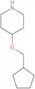 4-(Cyclopentylmethoxy)piperidine