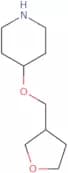 4-[(Oxolan-3-yl)methoxy]piperidine