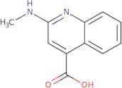 2-(Methylamino)quinoline-4-carboxylic acid
