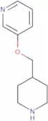 3-[(Piperidin-4-yl)methoxy]pyridine