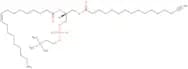 16:0(Alkyne)-18:1 pc