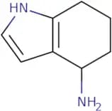 4,5,6,7-Tetrahydro-1H-indol-4-amine