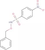 N-(Benzyloxy)-4-nitrobenzene-1-sulfonamide