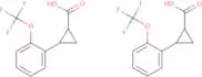 rac-(1R,2R)-2-[2-(Trifluoromethoxy)phenyl]cyclopropane-1-carboxylic acid
