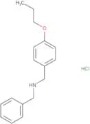 Benzyl[(4-propoxyphenyl)methyl]amine hydrochloride