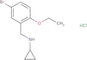 N-[(5-Bromo-2-ethoxyphenyl)methyl]cyclopropanamine hydrochloride