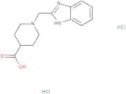 1-[(1H-1,3-Benzodiazol-2-yl)methyl]piperidine-4-carboxylic acid dihydrochloride