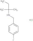 [(4-Fluorophenyl)methyl](2-methylbutan-2-yl)amine hydrochloride