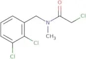 2-Chloro-N-(2,3-dichloro-benzyl)-N-methyl-acetamide