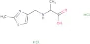 (2R)-2-{[(2-Methyl-1,3-thiazol-4-yl)methyl]amino}propanoic acid dihydrochloride