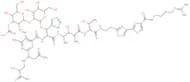 Bleomycin B2