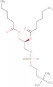 1,2-Dihexanoyl-sn-glycero-3-phosphocholine