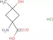 rac-(1R,3S)-1-Amino-3-hydroxy-3-methylcyclobutane-1-carboxylic acid hydrochloride