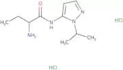 (2S)-2-Amino-N-[1-(propan-2-yl)-1H-pyrazol-5-yl]butanamide dihydrochloride