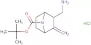 tert-Butyl rac-(1S,2R,4R)-2-(aminomethyl)-3-methylene-7-azabicyclo[2.2.1]heptane-7-carboxylate hyd…