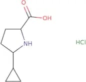 rac-(2R,5R)-5-Cyclopropylpyrrolidine-2-carboxylic acid hydrochloride