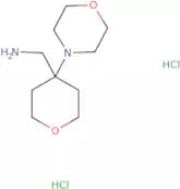 [4-(Morpholin-4-yl)oxan-4-yl]methanamine dihydrochloride