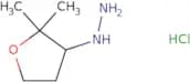 (2,2-Dimethyloxolan-3-yl)hydrazine hydrochloride