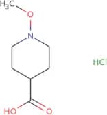 1-Methoxypiperidine-4-carboxylic acid hydrochloride