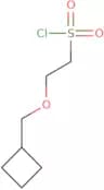 2-(Cyclobutylmethoxy)ethane-1-sulfonyl chloride