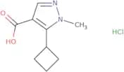 5-Cyclobutyl-1-methyl-1H-pyrazole-4-carboxylic acid hydrochloride