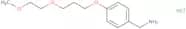 {4-[3-(2-Methoxyethoxy)propoxy]phenyl}methanamine hydrochloride