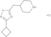 4-[(3-Cyclobutyl-1,2,4-oxadiazol-5-yl)methyl]piperidine hydrochloride