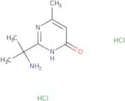 2-(2-Aminopropan-2-yl)-6-methyl-3,4-dihydropyrimidin-4-one dihydrochloride
