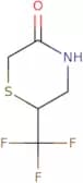 6-(Trifluoromethyl)thiomorpholin-3-one