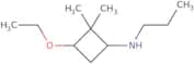 3-Ethoxy-2,2-dimethyl-N-propylcyclobutan-1-amine