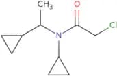 2-Chloro-N-cyclopropyl-N-(1-cyclopropylethyl)acetamide