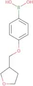 [4-(Oxolan-3-ylmethoxy)phenyl]boronic acid