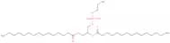 1,2-Dipentadecanoyl-sn-glycero-3-phosphoethanolamine