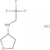 N-(2,2,2-Trifluoroethyl)oxolan-3-amine hydrochloride