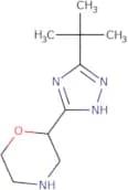 2-(3-tert-Butyl-1H-1,2,4-triazol-5-yl)morpholine