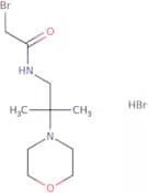 2-Bromo-N-[2-methyl-2-(morpholin-4-yl)propyl]acetamide hydrobromide