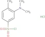 3-(Dimethylamino)-4-methylbenzene-1-sulfonyl chloride hydrochloride