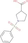 1-(Phenylsulfonyl)-3-pyrrolidinecarboxylic acid