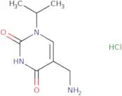 5-(Aminomethyl)-1-(propan-2-yl)-1,2,3,4-tetrahydropyrimidine-2,4-dione hydrochloride