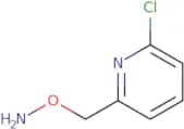 O-[(6-chloropyridin-2-yl)methyl]hydroxylamine