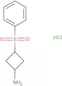 3-(Benzenesulfonyl)cyclobutan-1-amine hydrochloride