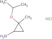 rac-(1R,2S)-2-Methyl-2-(propan-2-yloxy)cyclopropan-1-amine hydrochloride