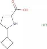 5-Cyclobutylpyrrolidine-2-carboxylic acid hydrochloride
