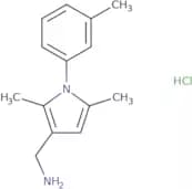 [2,5-Dimethyl-1-(3-methylphenyl)-1H-pyrrol-3-yl]methanamine hydrochloride