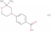 4-(2,2-Dimethylmorpholin-4-yl)benzoic acid hydrochloride