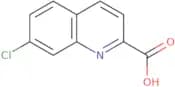 7-chloroquinoline-2-carboxylic Acid