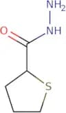 Thiolane-2-carbohydrazide