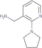 (2-Pyrrolidin-1-ylpyrid-3-yl)methylamine